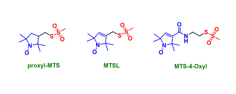 Spin labelled MTS reagents